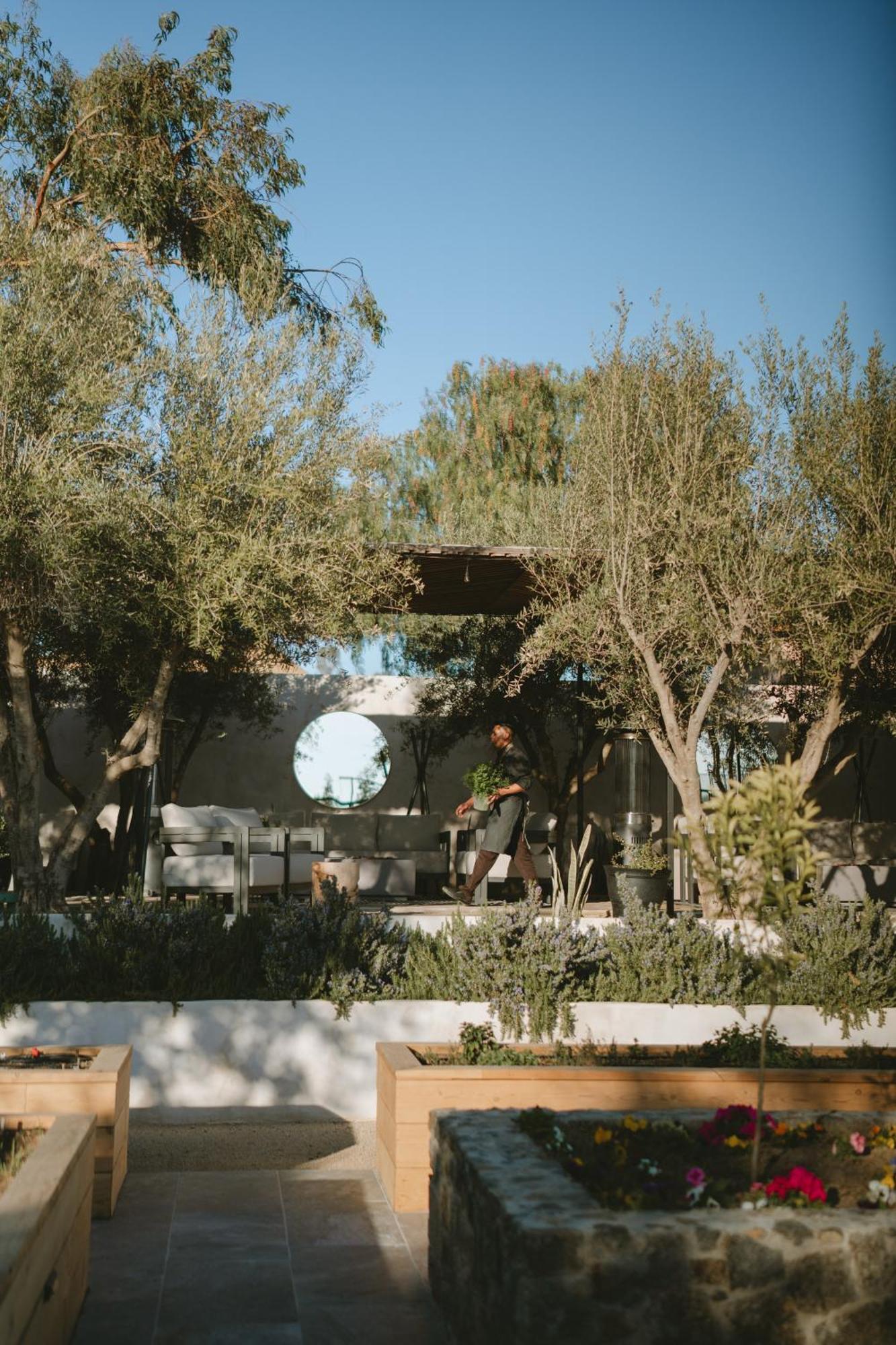 Mya Hotel Valle de Guadalupe Exterior foto